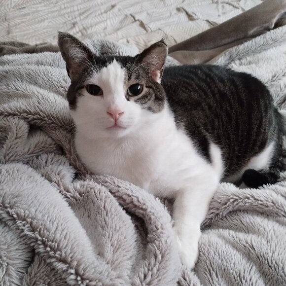 Meet your Posher - Picture 1 of 1